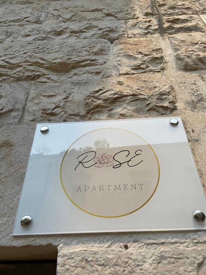 Rose Apartment Terlizzi Buitenkant foto